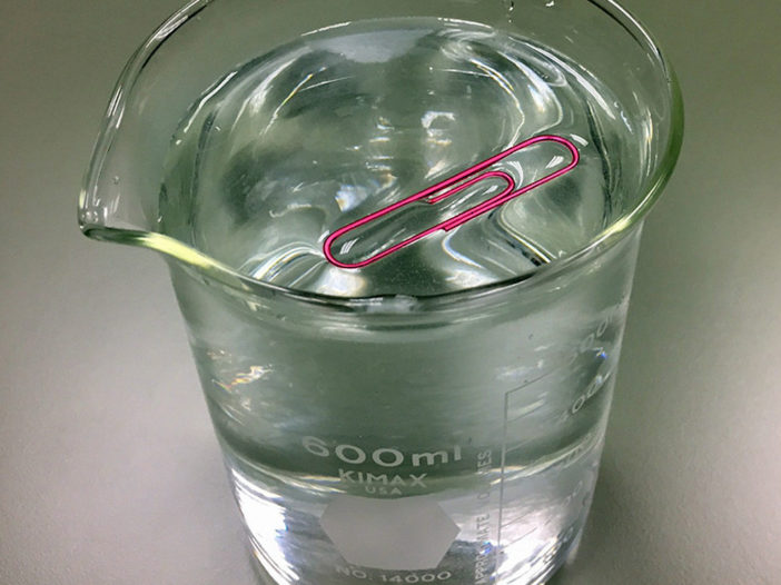 paper-clip-floating-in-water